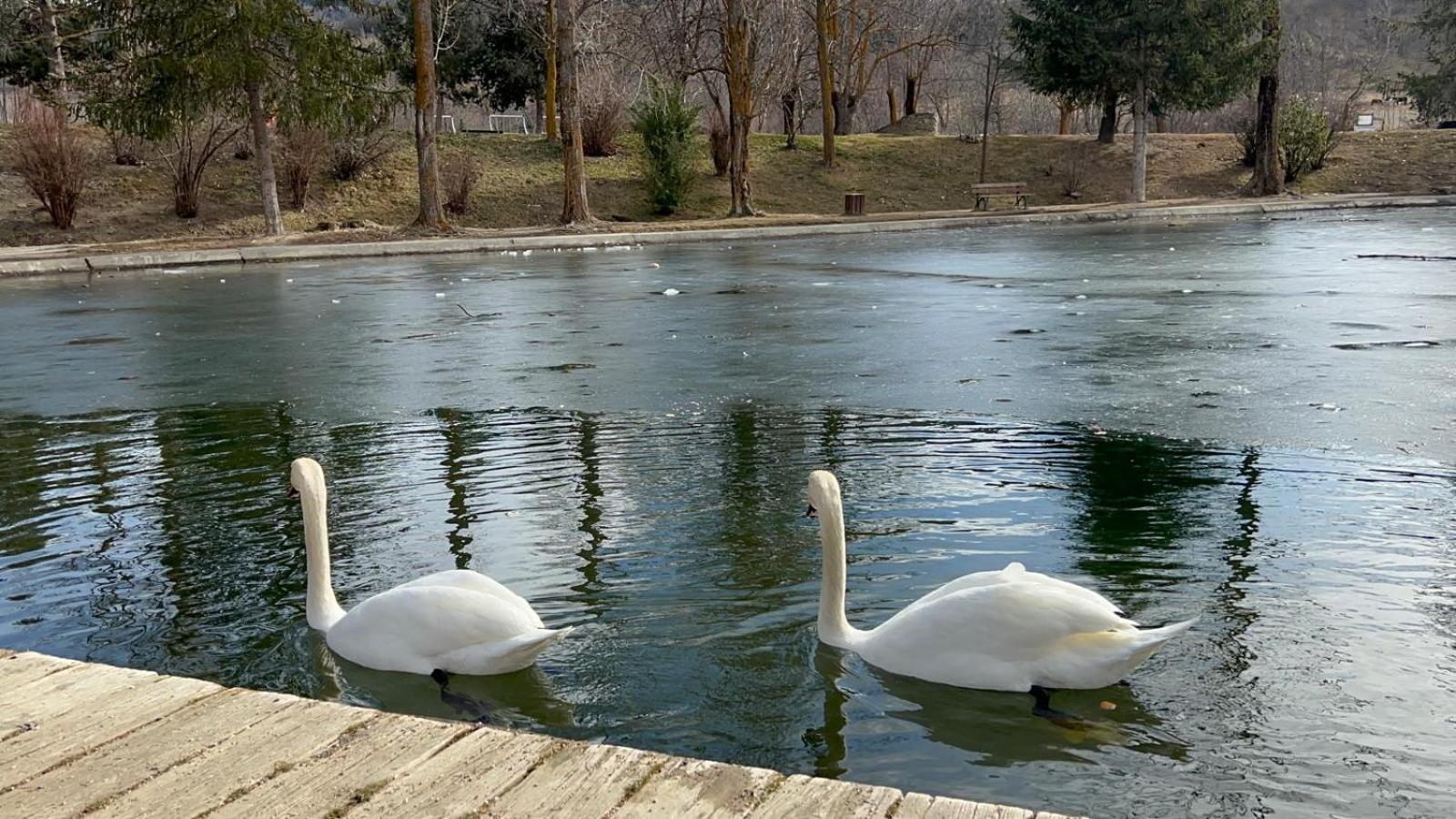 Apartament Del Llac Osséja Kültér fotó